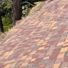 Gutter and Roof Cleaning 0