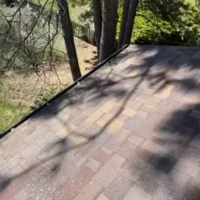 Gutter and Roof Cleaning 1