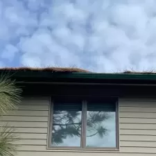 Gutter and Roof Cleaning 3