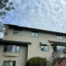 Gutter and Roof Cleaning 4