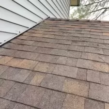 Gutter and Roof Cleaning 5