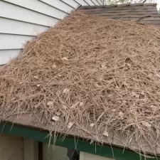 Gutter and Roof Cleaning 6