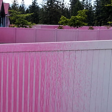 Fire Retardant Cleanup 2