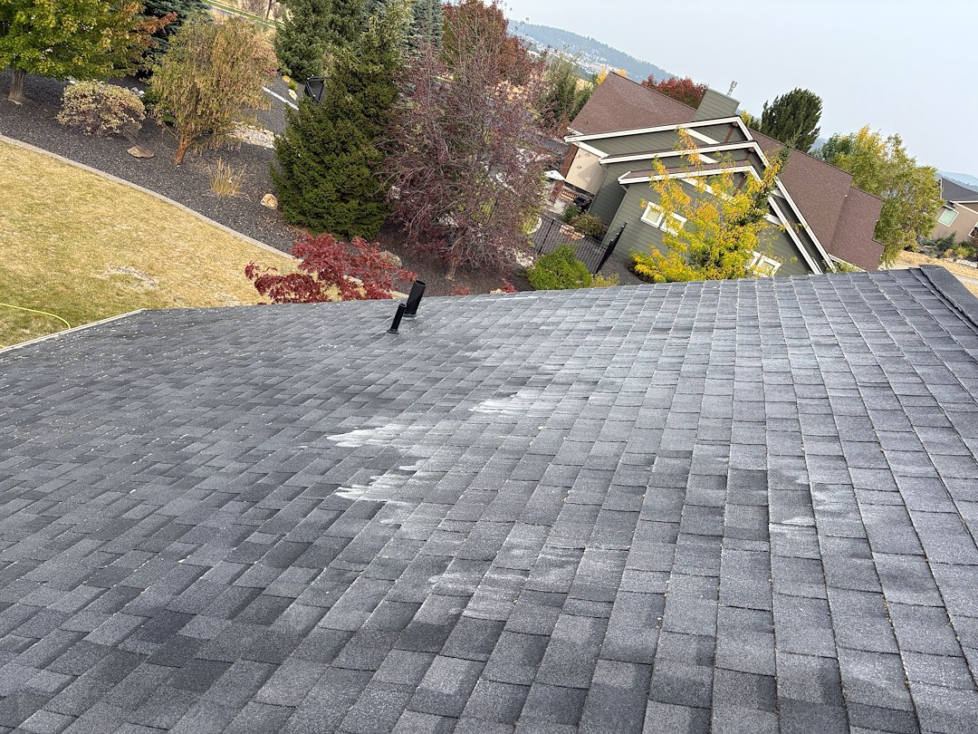 🏛️ Preservation Over Pressure Roof Moss Removal 