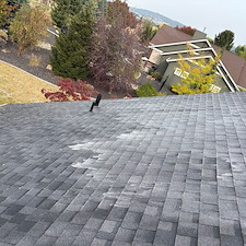 -Preservation-Over-Pressure-Roof-Moss-Removal 0