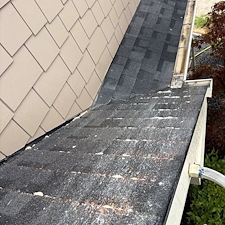 -Preservation-Over-Pressure-Roof-Moss-Removal 1