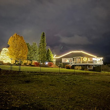 -Towering-Blue-Spruce-Tree-Wrap-Installation- 0