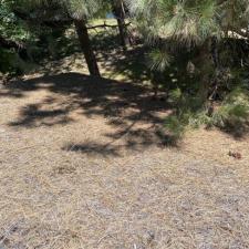 High-Quality-Roof-Cleaning-Moss-Removal-Chemical-Treatmeant-Coeur-dAlene-ID 6