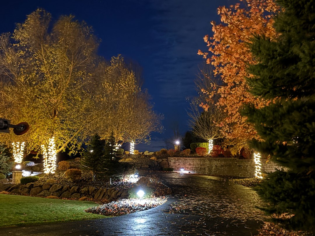 Lovely Luminous Tree Wrapping Christmas Light Installation in Spokane WA