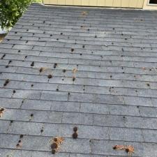 Roof-Clean-Off-and-Chemical-Treatment-in-Coeur-dAlene-ID 5