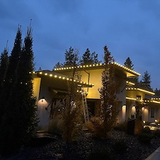 Stunning-Warm-White-Christmas-Lights 1