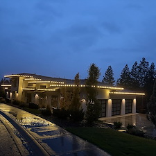 Stunning-Warm-White-Christmas-Lights 2